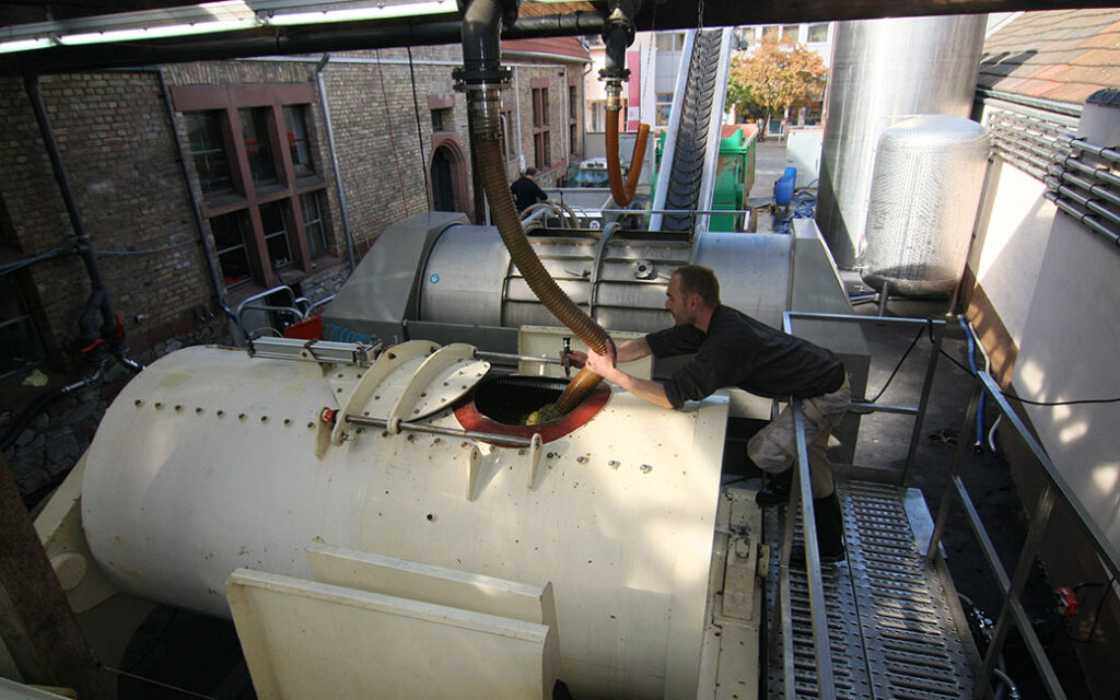 Mitarbeiter beim Befüllen der Keltern im Hof der Winzer von Erbach eG Rheingau