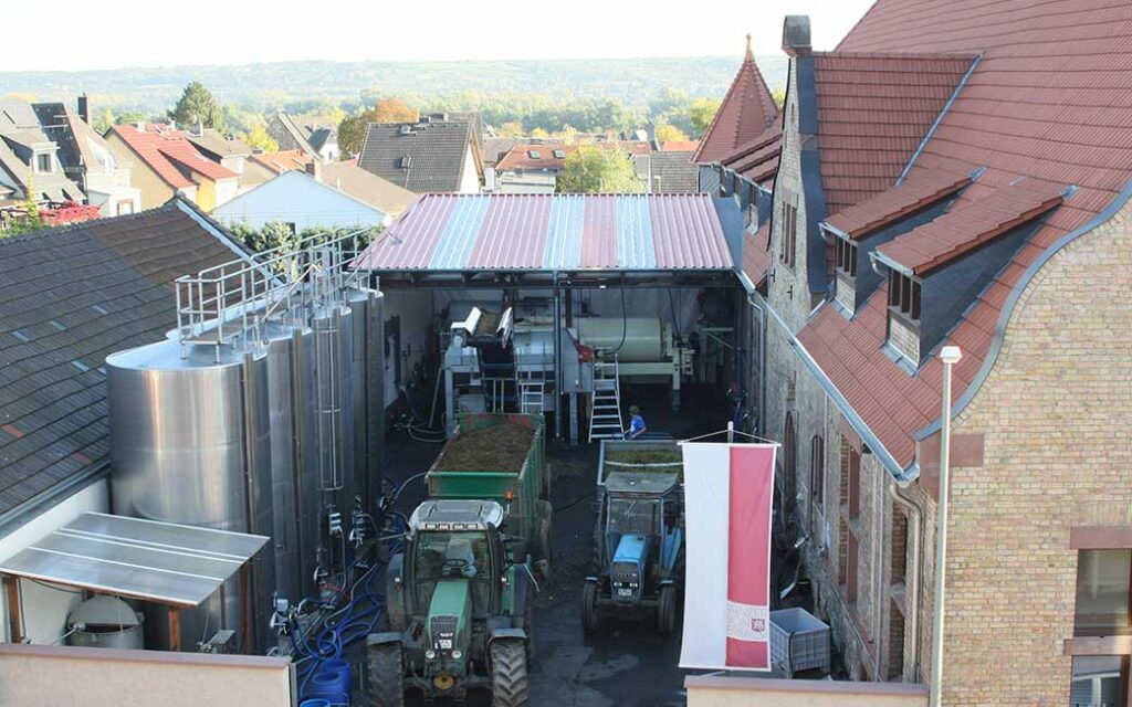 Blick in den Kelterhof der Winzer von Erbach eG bei Traubenannahme im Herbst zur Weinlese