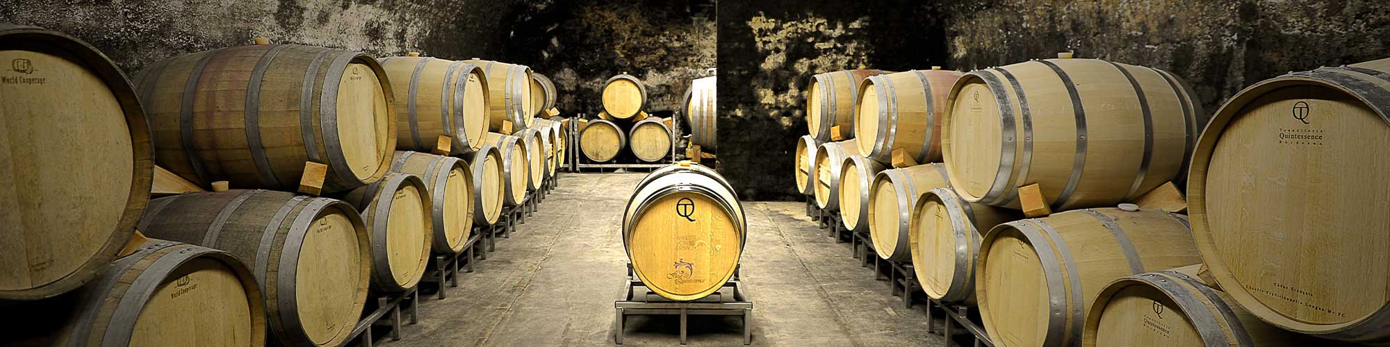 Historischer Holzfasskeller der Winzer von Erbach eG im Rheingau mit vielen lagernden Fässern