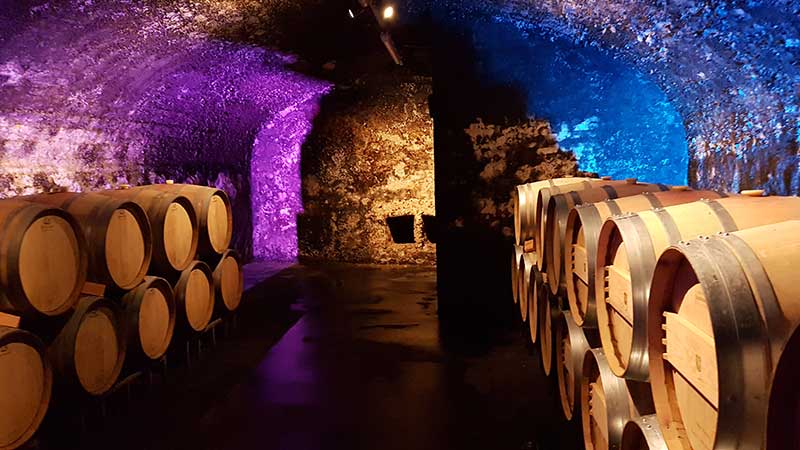 Bunt illuminierter Holzfasskeller der Winzer von Erbach eG im Rheingau