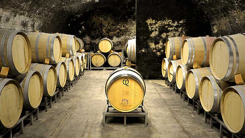 Historischer Holzfasskeller der Winzer von Erbach eG im Rheingau mit vielen lagernden Fässern