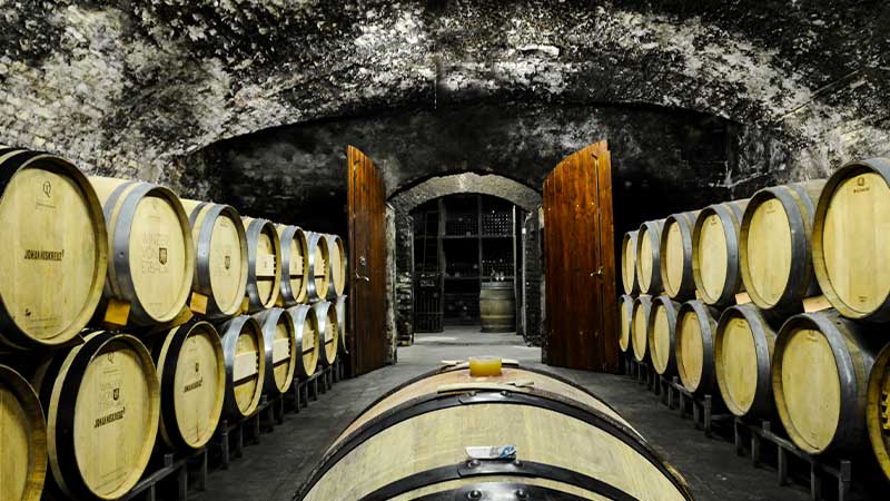 Holzfasskeller mit Barriquefässern mit Blick in die Schatzkammer der Winzer von Erbach im Rheingau